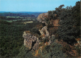 Postcard France Orne La Roche D'Oetre - Bazoches Sur Höne