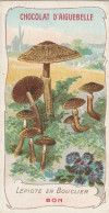 LEPIOTE En BOUCLIER  Chromo Format 10,50 X 5,50  Chocolat D' AIGUEBELLE - Mushrooms