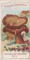 LACTAIRE à LAIT ABONDANT  Chromo Format 10,50 X 5,50 Chocolat D' AIGUEBELLE - Champignons