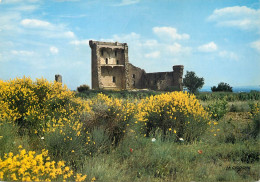 Postcard France Vaucluse Chateauneuf Du Pape Ruins - Chateauneuf Du Pape