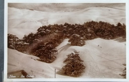 Liban Lebanon LE CEDRE   1941  Original Photo N:1250 - Liban