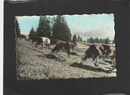 125114         Francia,     La  Franche-Comte Pittoresque,  Paturages  Au Bord Du Lac,  VG   1963 - Franche-Comté