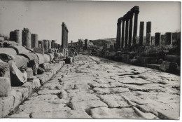 L60F005 - Jordanie - Jerash - Gerasa -  Jack Dakessian Photographe - DERAA - Jordan