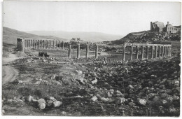 L60F011 - Jordanie - Jerash - Gerasa - Forum -  Jack Dakessian Photographe - DERAA - Jordan