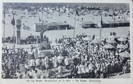 De Panne  Zeewijding - De Panne