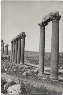 L60F019 - Jordanie - Jerash - Gerasa - Jack Dakessian Photographe DERAA - Jordanie