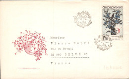 TCHECOSLOVAQUIE LETTRE FDC POUR LA FRANCE 1974 - Storia Postale