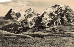 Murren Oberberg - Mürren