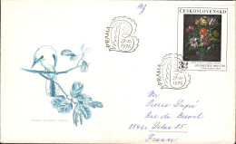 TCHECOSLOVAQUIE LETTRE FDC POUR LA FRANCE 1976 - Briefe U. Dokumente