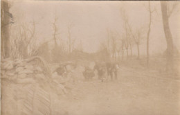 Photo 14 18 Soldats Sur La Route Entre KAASKERKE (Caeskerke) Et Dixmude (Diksmuide) (A252, Ww1, Wk 1) - Diksmuide