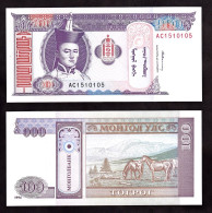 MONGOLIA  100  TUGRIK 1993  PIK 57 FDS - Mongolia