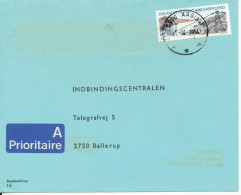 Greenland Cover Sent To Denmark 21-4-1994 Single Franked - Cartas & Documentos