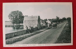 CPA  - Le Perray -(S.-et-O.) - Chaussée De La Digue - Etang De St Hubert - Le Perray En Yvelines