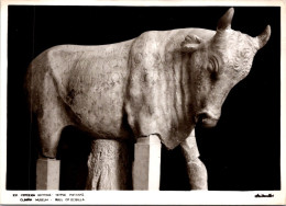 7-11-2023 (1 V 33) Greece - Art Statue - B/w - Bull / Taureaux - Bull