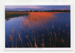 AK 177084 IRELAND - Devenish Island Im Lower Lough Erne - County Fermanagh - Autres & Non Classés