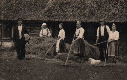 Estonie - Eesti: Talu Muhu Saarel, Põllumehed (une Ferme Sur L'Ile Muhu 1925, Les Fermiers) - Estland