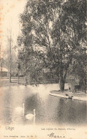 BELGIQUE - Liège - Les Cygnes Du Parc D'Avroy - Etang - Carte Postale Ancienne - Luik