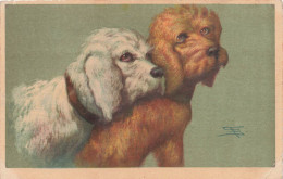 ANIMAUX - Chiens - Deux Caniches - Blanc Et Roux - Carte Postale Ancienne - Chiens