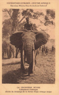 CONGO - Congo Belge - La Croisière Noire - L'éléphant D’Afrique - Carte Postale Ancienne - Belgisch-Kongo