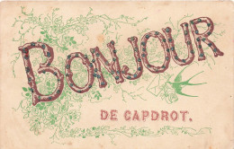 FANTAISIES - Bonjour De Capdrot Décoré De Petit Bouquet De Fleurs - Colorisé - Carte Postale Ancienne - Otros & Sin Clasificación