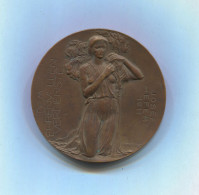 Austria Handels - To The Honorable Service By P. Breithut, Big Medal Plaque, D 65 Mm - Non Classés