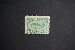 (T7) Newfoundland Canada - 1880 Cod Fish 2c (MH) - 1865-1902