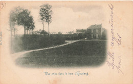 BELGIQUE - La Louvière - Vue Prise Dans Le Bois De Houdeng - Carte Postale Ancienne - La Louvière