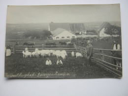 Gunzenhausen  ,Fotokarte , Schöne Karte Um 1910 - Gunzenhausen