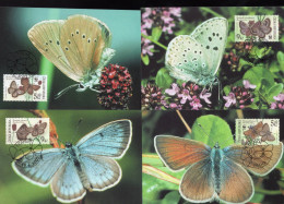 WWF MC Maxi Cards Complete Set Of 4 Czech Rep 2002 Butterfly Butterflies Mariposa Papillon - Cartes-maximum