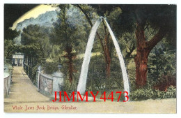 Gibraltar - Whale Jaws Arch Bridge, - Benzaquen & Co Gibraltar - Gibraltar