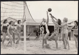 GRANDE PHOTO FILLES DU FESTIVAL BELGE D'ETE A KNOKKE Annees '50 - VOLLEYBAL - VOLLEY-BALL - PALLAVOLO - Voleibol