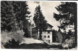 74 Boëge - Ermitage De N D De Voirons - Le Chalet St Christophe - Boëge