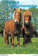 Joyeux Anniversaire / Chevaux - Éd. La Messagerie - Paarden