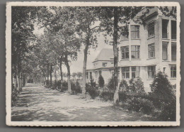 SIJSELE - Sanatorium Elisabeth - Zijzicht Op Het Hoofdgebouw - Damme - Belgique - Damme