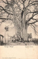 CONGO - Congo Belge - Baobab à Boma - Carte Postale Ancienne - Congo Belge