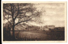 Belgique  -  Mormont - Edit Cafe Des Bons Amis J Valentin - Dewere -   Panorama - Arbre - Erezée