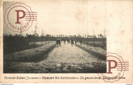 Gesticht Robert Joostens - Brecht St.-Antonius - De Groote Dreef - La Grande Drêve ANTWERPEN ANVERS BELGIE BELGIQUE - Brecht
