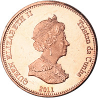 Monnaie, NIGHTINGALE ISLAND, 2 Pence, 2011, Île Nightingale., SPL, Cuivre - Saint Helena Island