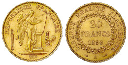 20 Francs Geflügelter Genius 1896 A. 6,45 G. 900/1000. Vorzüglich/Stempelglanz, Kl. Kratzer. Krause/Mishler 857. - 20 Francs (goud)