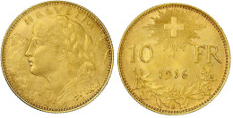 10 Franken Vreneli 1916 B. 3,23 G. 900/1000. Fast Stempelglanz. Divo/Tobler 294. Friedberg 504. - Other & Unclassified