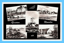 CPSM - Havelte (Pays-Bas) - Groeten Uit Hvelte - Other & Unclassified