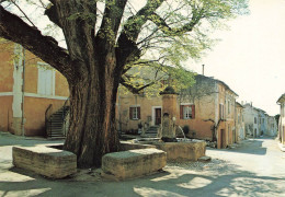 Flessan * Près De Bédoin * Place , L'orme Bi Centenaire Et La Fontaine * Arbre Tree - Other & Unclassified