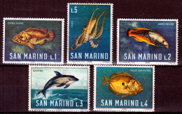 ⁕ San Marino 1966 ⁕ Marine Fauna Mi.869-873 ⁕ 5v MNH - Neufs