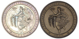 2 Stück: Silber- Und Bronzemedaille 1892 Von M. Mayer. Badischer Landesgartenbauverein, Jub.-Ausst. In Karlsruhe. Je 47  - Pièces De Monnaie D'or