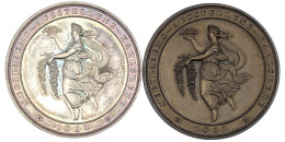 2 Stück: Silber- Und Bronzemedaille 1892 Von M. Mayer. Badischer Landesgartenbauverein, Jub.-Ausst. In Karlsruhe. Je 47  - Gouden Munten