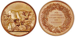 Bronze-Staatspreismedaille O.J. Von Weigand. Für Leistungen In Der Viehzucht. 43 Mm. Vorzüglich/Stempelglanz, Zaponiert. - Pièces De Monnaie D'or