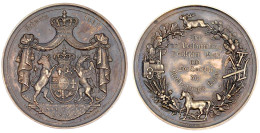 Bronzemedaille 1861 Von Schilling Und Kullrich. 22. Versammlung Deutscher Land- Und Forstwirte In Schwerin. 43 Mm. Vorzü - Goldmünzen