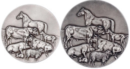 2 Silbermedaillen: 1900 Kreistierschau Bargteheide Und 1902 Oldesloe. 39 Und 45 Mm; 22,13 Und 40,22 G. Jeweils Im Origin - Goldmünzen
