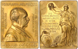 Rechteckige Bronzeplakette 1894 V. Tautenhayn, A.d. 66. Versammlung Dt. Naturf. U. Ärzte In Wien. 51 X 41 Mm. Im Origina - Sonstige & Ohne Zuordnung