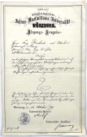 Urkunden-Nachlass Des Arztes Franz Bierschenk: Abiturzeugnis (Mainz) Und Ernennungsbrief Vom 3. Mai 1899 Von Der Würzbur - Other & Unclassified